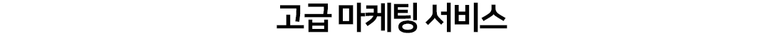 고급 마케팅